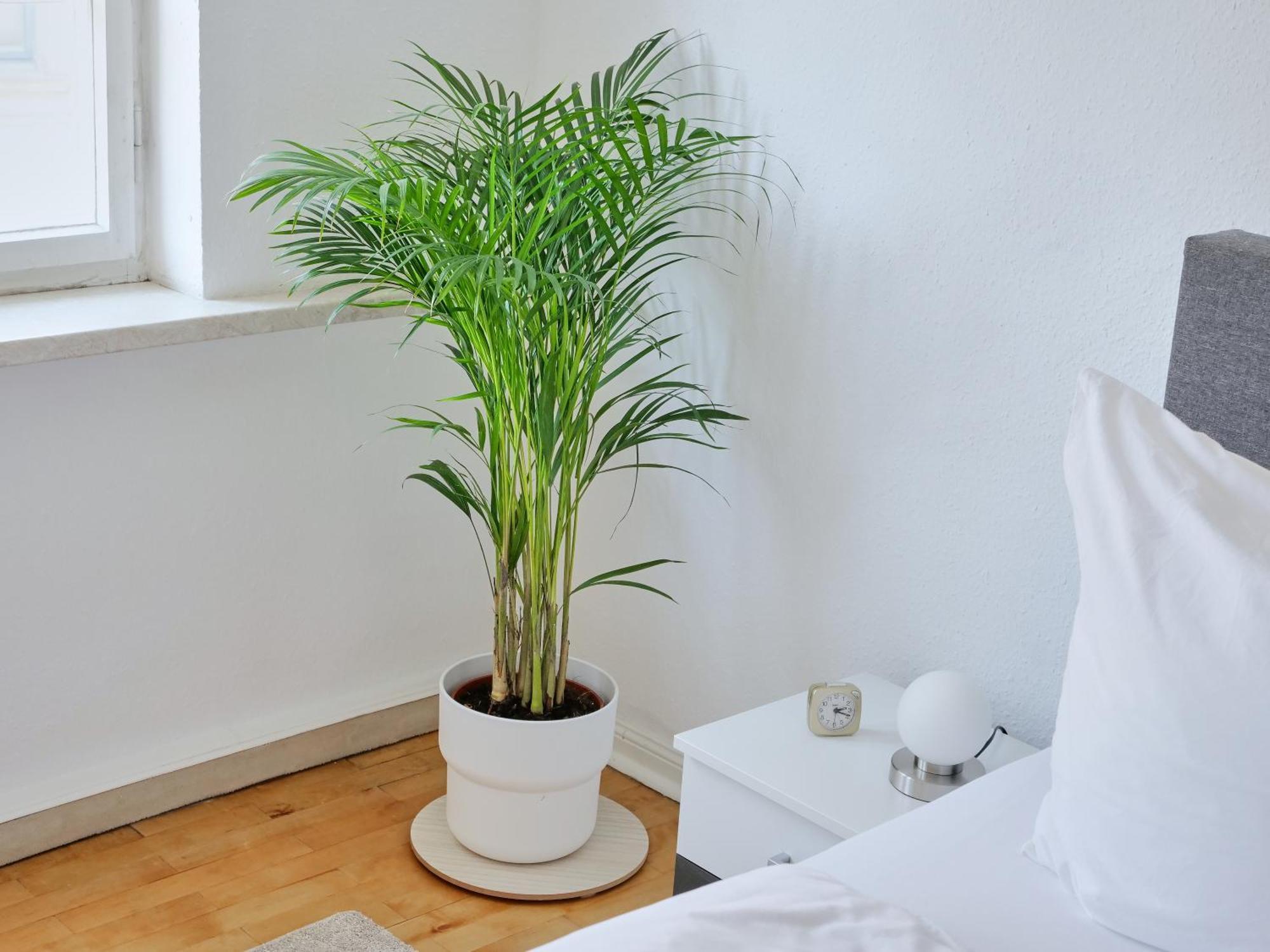 Appartement Dom III - Erfurt Domplatz Εξωτερικό φωτογραφία